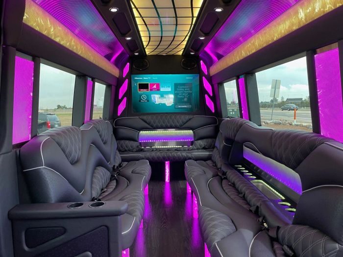 Sprinter limo lounge with TV – Longmont limo service