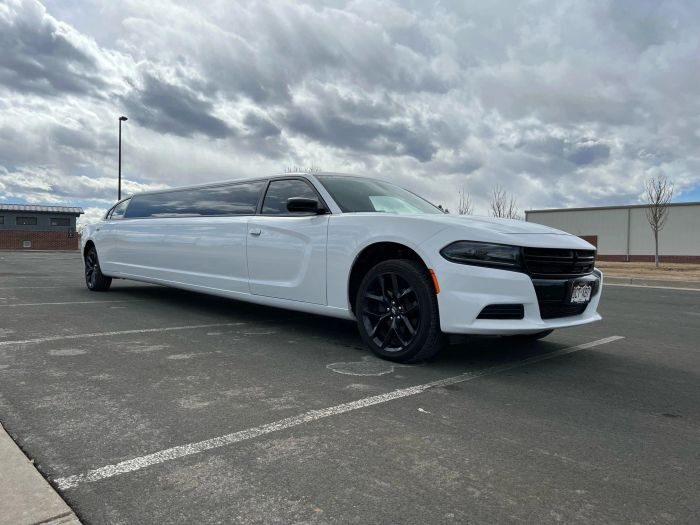 White stretch limo – Longmont limo service